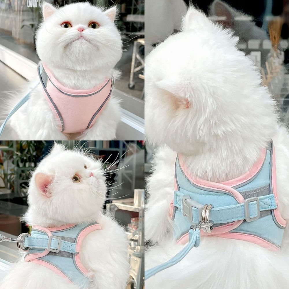 Oscar – Justerbar rømningssikker kattesele i mykt materiale