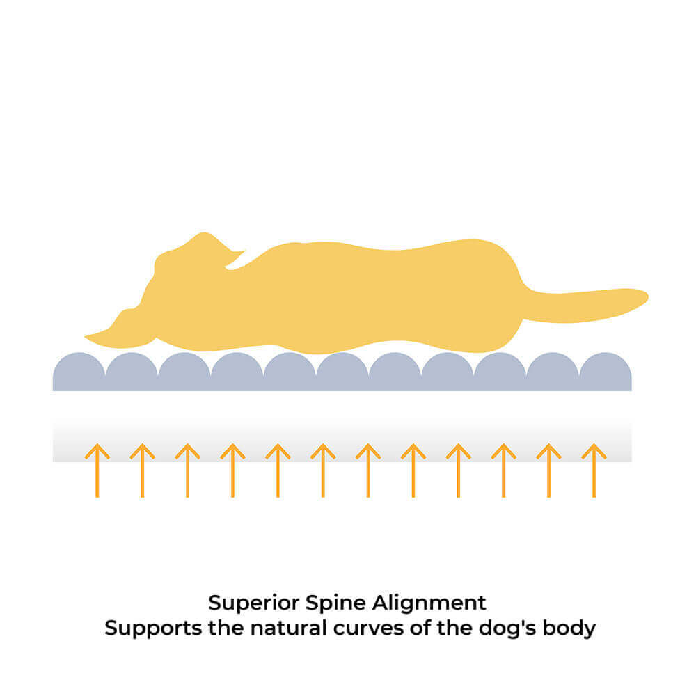 CheesecakeKomfortbett – Myk og stilren hundeseng med ekstra varme