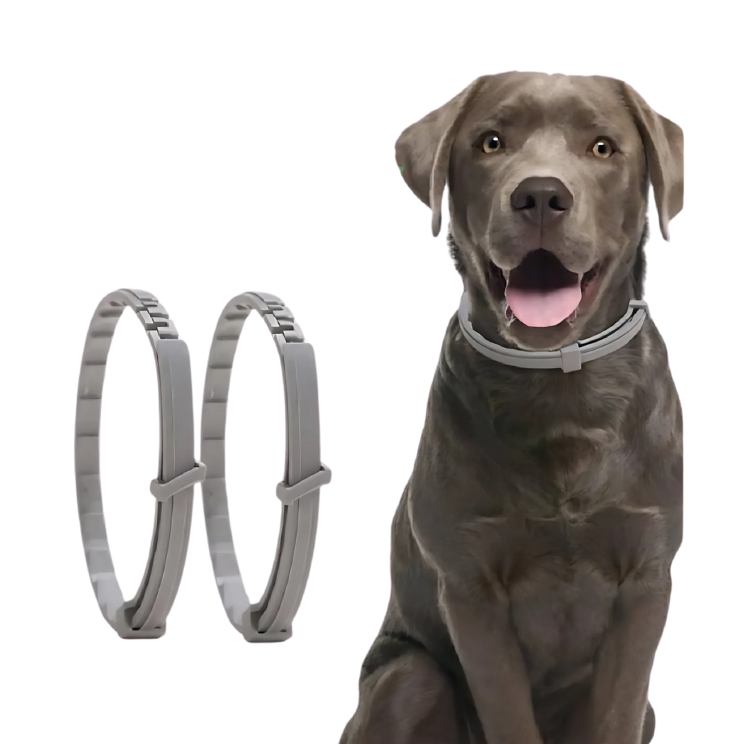 NatureGuard Flåtthalsbånd – Plantebasert beskyttelse for Hunder og Katter