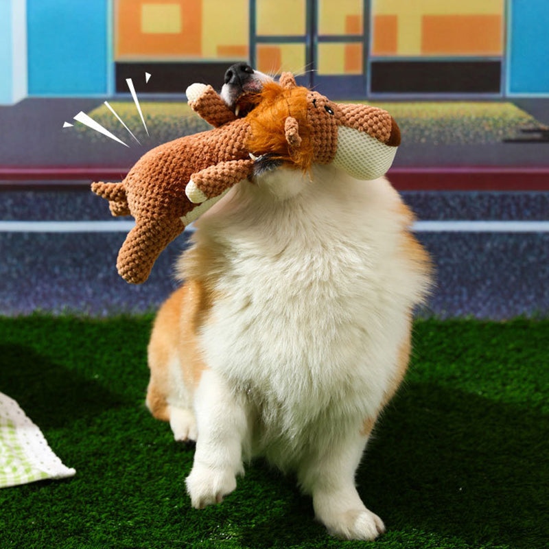 Maximus – Ekstra sterke hundeleker for aktive tyggere