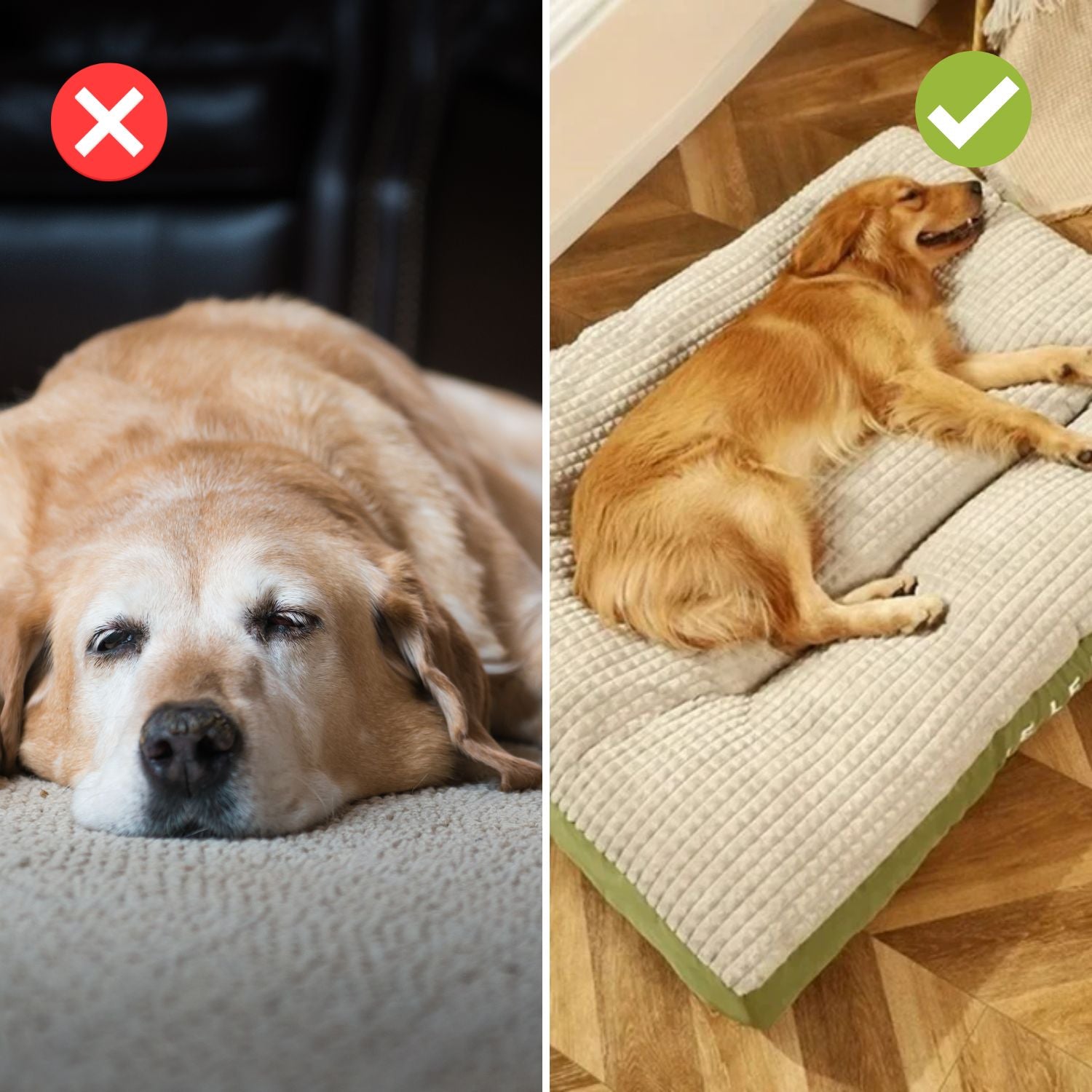 ComfyCanine – Ergonomisk Sovekomfort for Hunder