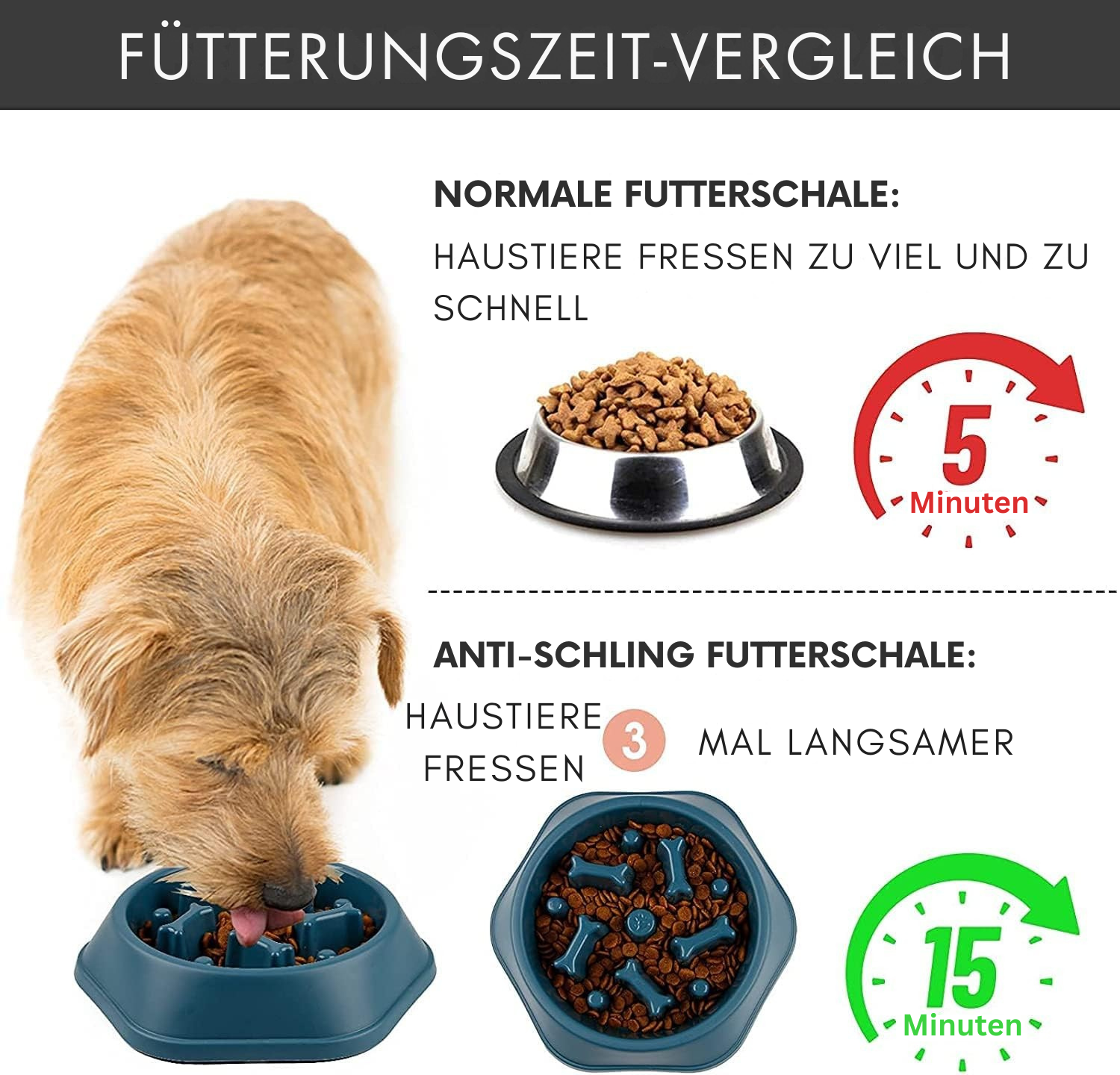BoneBowl Harmony – Stilig Anti-Gulping-Skål for Sunt Kosthold
