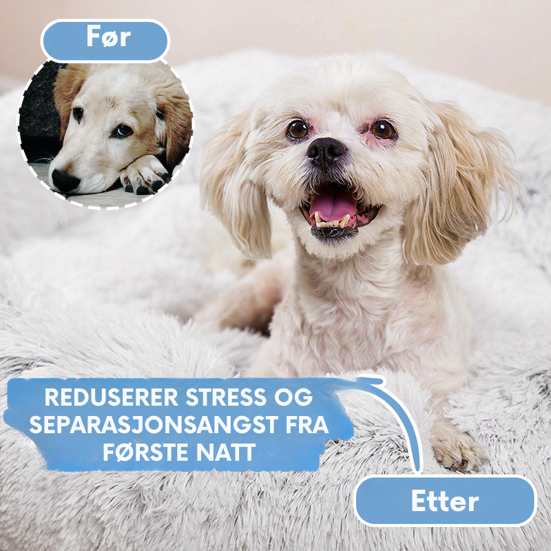 Hundeseng-sky – Myk Komfort møter Beroligende Søvn