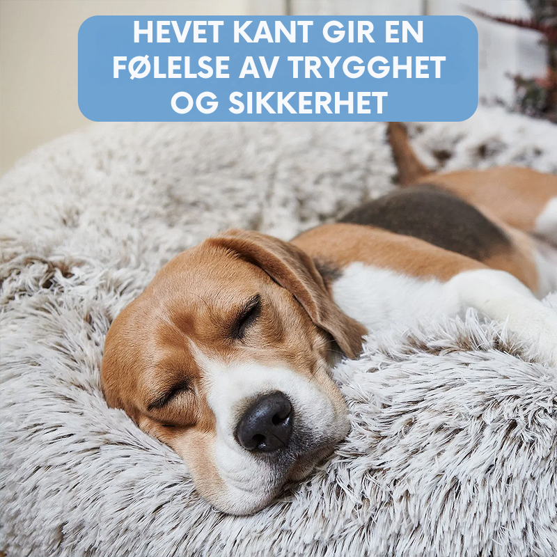 Hundeseng-sky – Myk Komfort møter Beroligende Søvn