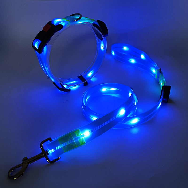 NightBright LED-hundehalsbånd med matchende bånd – USB-oppladbart
