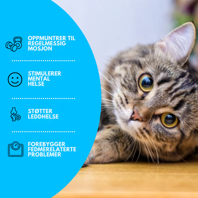 AquaPaws – Interaktiv vannlekematte for katter