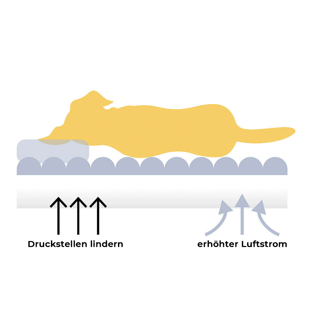 King's Chillout Sofa – Luksuriøs ortopedisk hundesofa med ryggstøtte