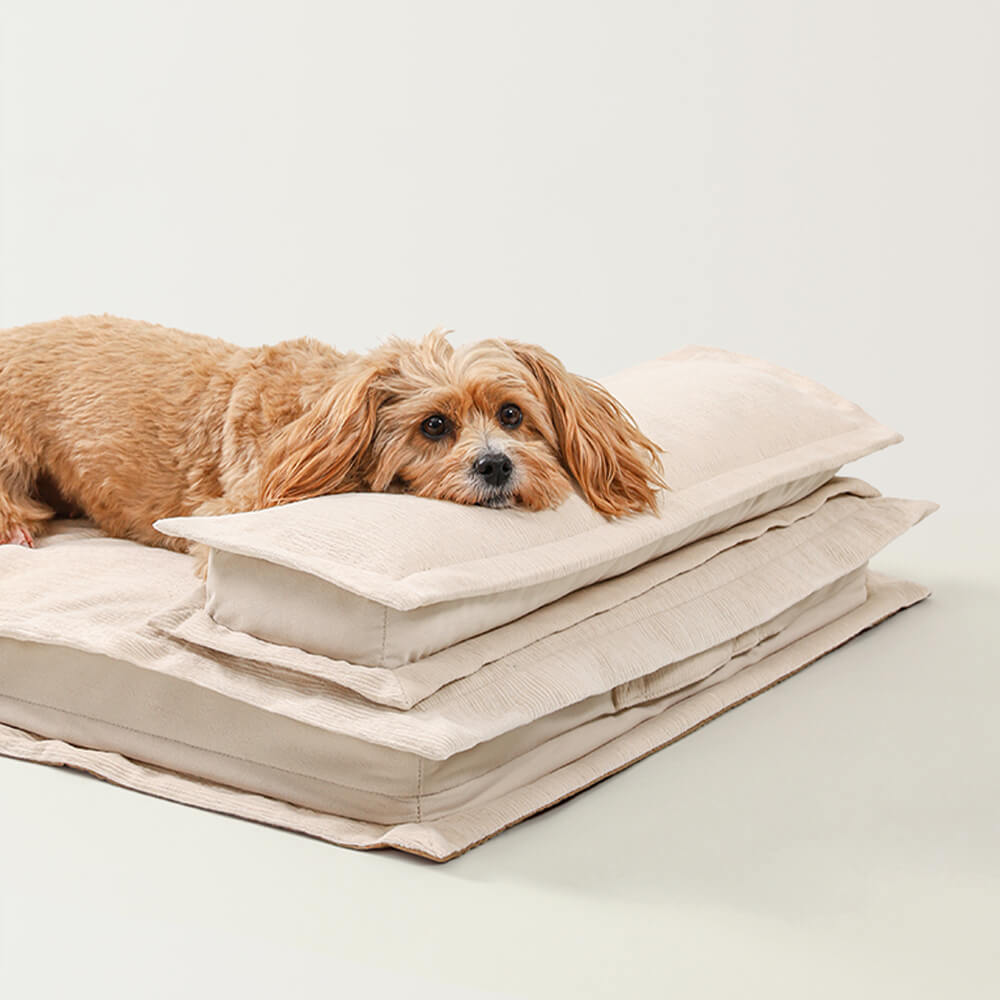 CozyCalm Deep Sleep – Myk og trygg hundeseng for hvile