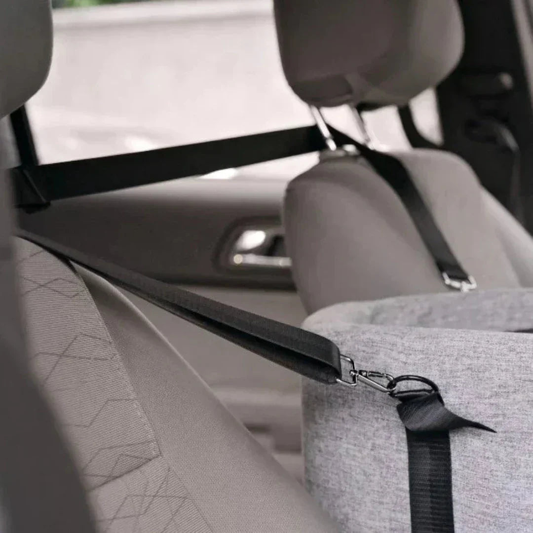 PawVoyage Bilsete for kjæledyr – Sikker og komfortabel samkjøring