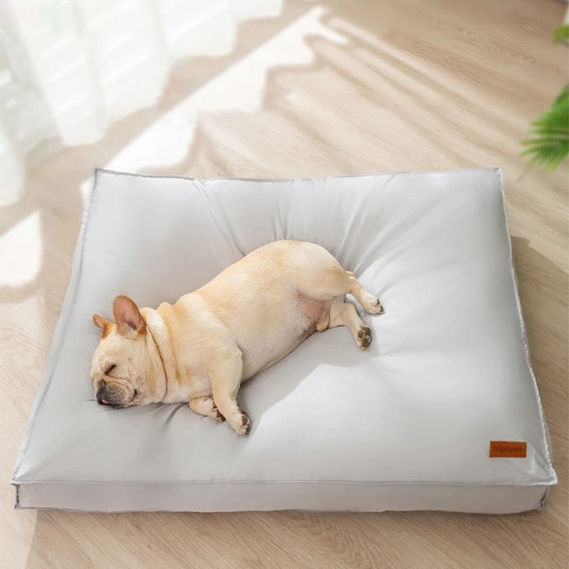 FlexiRest – Vanntett og komfortabel hundeseng i elegant design