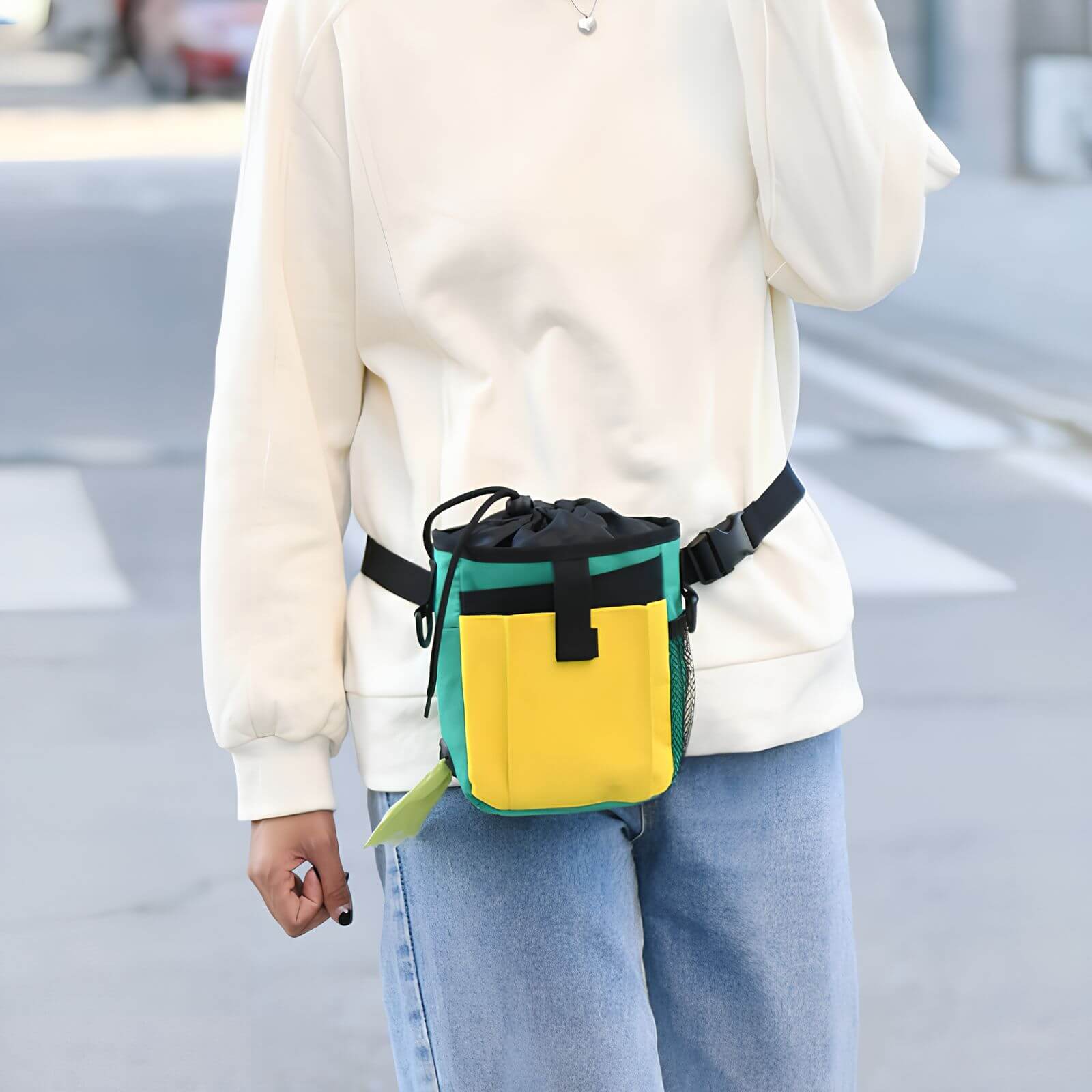 SnackBuddy – Treningsveske for hundegodbiter og tilbehør