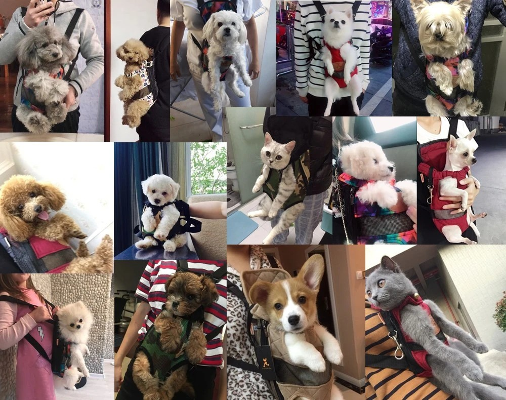 PawVentura bæreveske – Komfort og trygghet på reisen