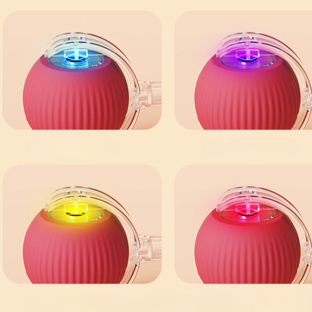 TailPlay – interaktiv hundeleke med hale – innendørs og utendørs