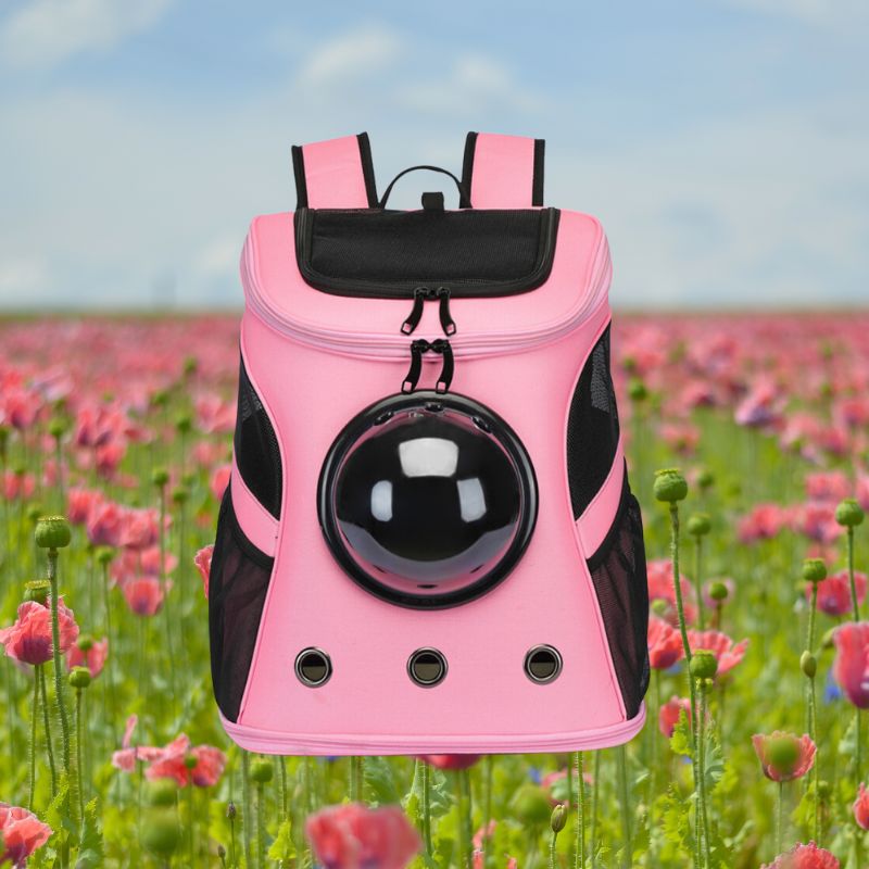 CatTrekker – Smart og praktisk katteveske med panoramautsikt