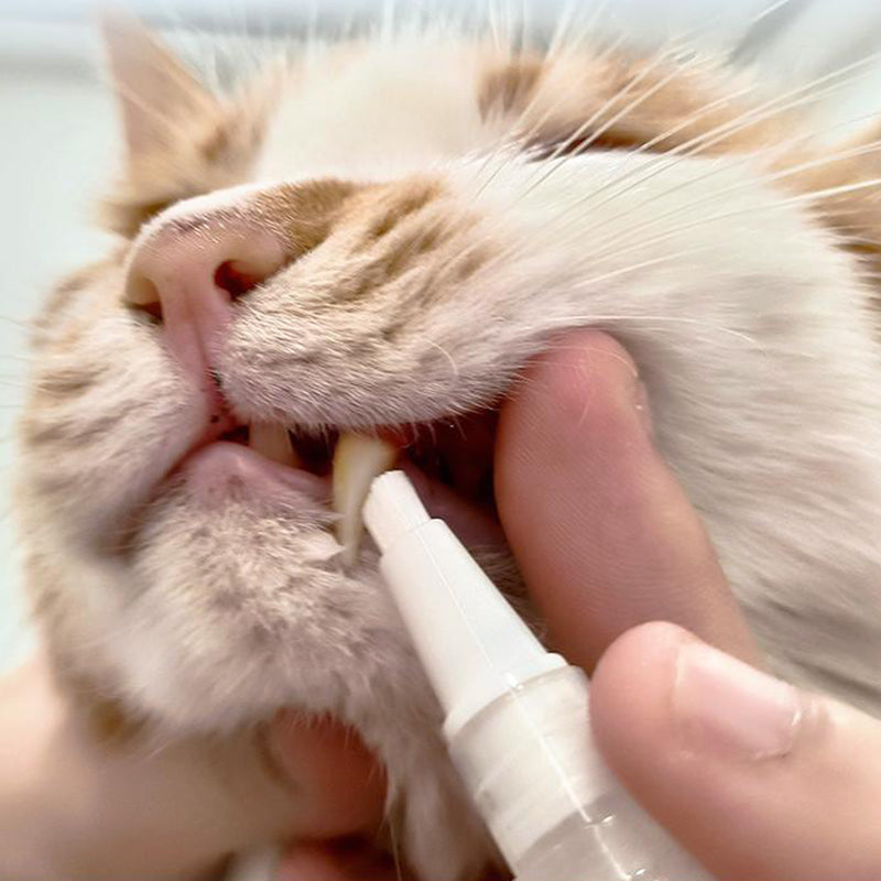 PetSmile – Smidig tannbørstepenn for kjæledyr