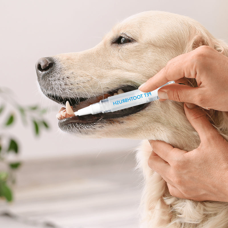PetSmile – Smidig tannbørstepenn for kjæledyr