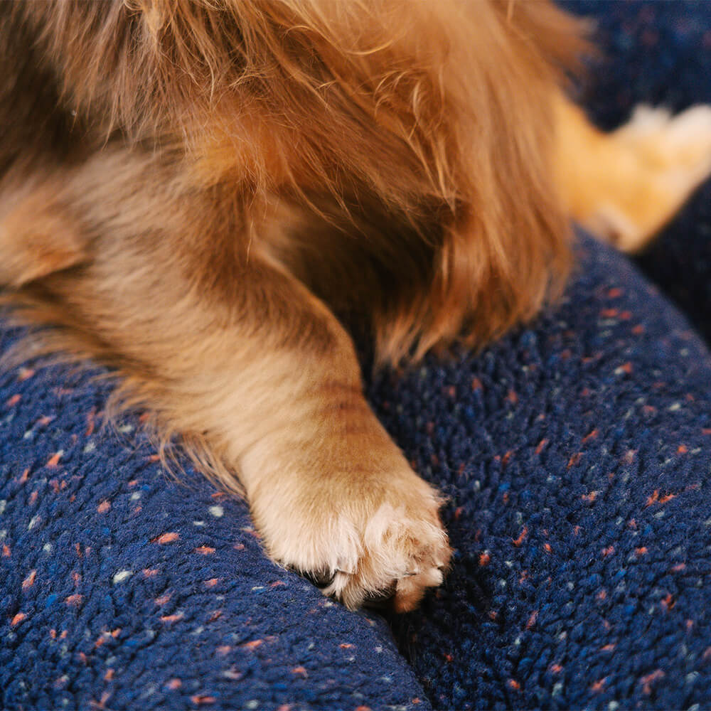 CheesecakeKomfortbett – Myk og stilren hundeseng med ekstra varme