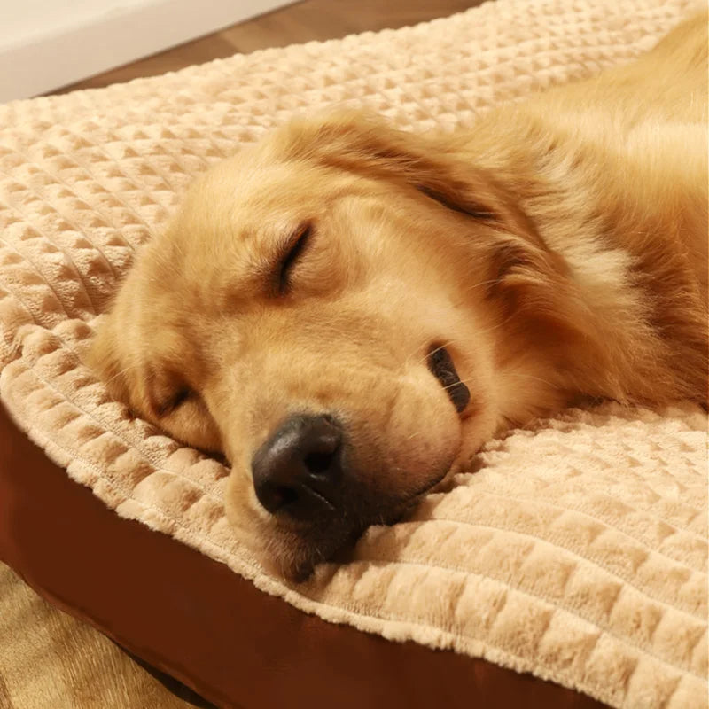 ComfyCanine – Ergonomisk Sovekomfort for Hunder