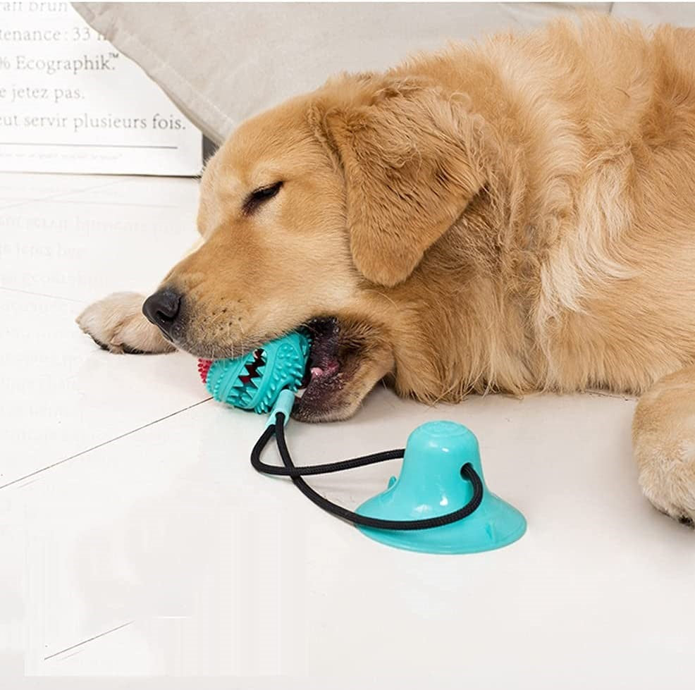 PlayPaw – Stabil trekkleke med sugekopp og godteribolle