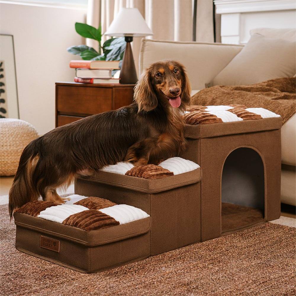 Multifunksjonell hundetrappa – Smart tilgang og hvile i ett