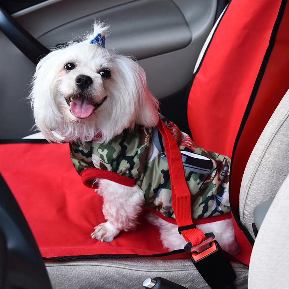 SafeTrek – Bilsele for Hund med Trygg Transport og Komfort i Fokus