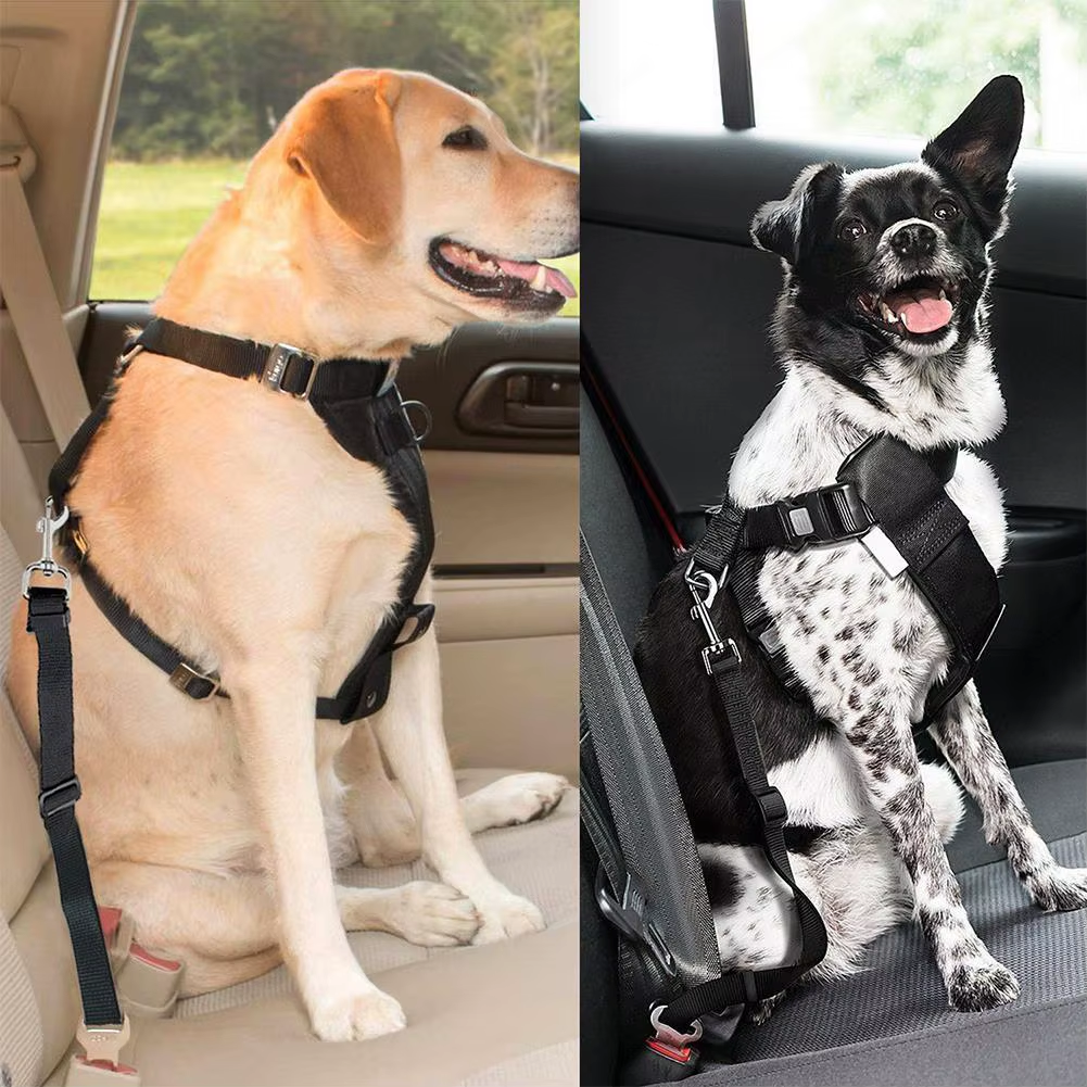 SafeTrek – Bilsele for Hund med Trygg Transport og Komfort i Fokus