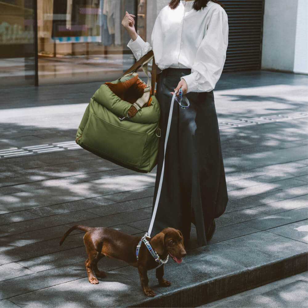 PawLuxury bilstol for hunder – Komfort og stil på hver tur