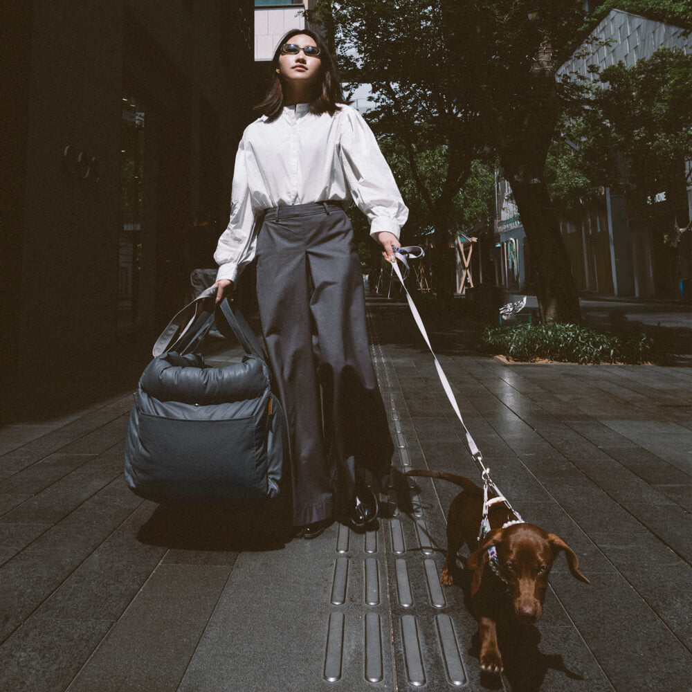 PawLuxury bilstol for hunder – Komfort og stil på hver tur