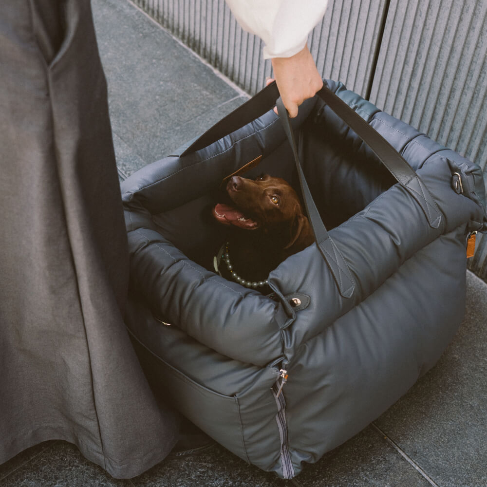 PawLuxury bilstol for hunder – Komfort og stil på hver tur