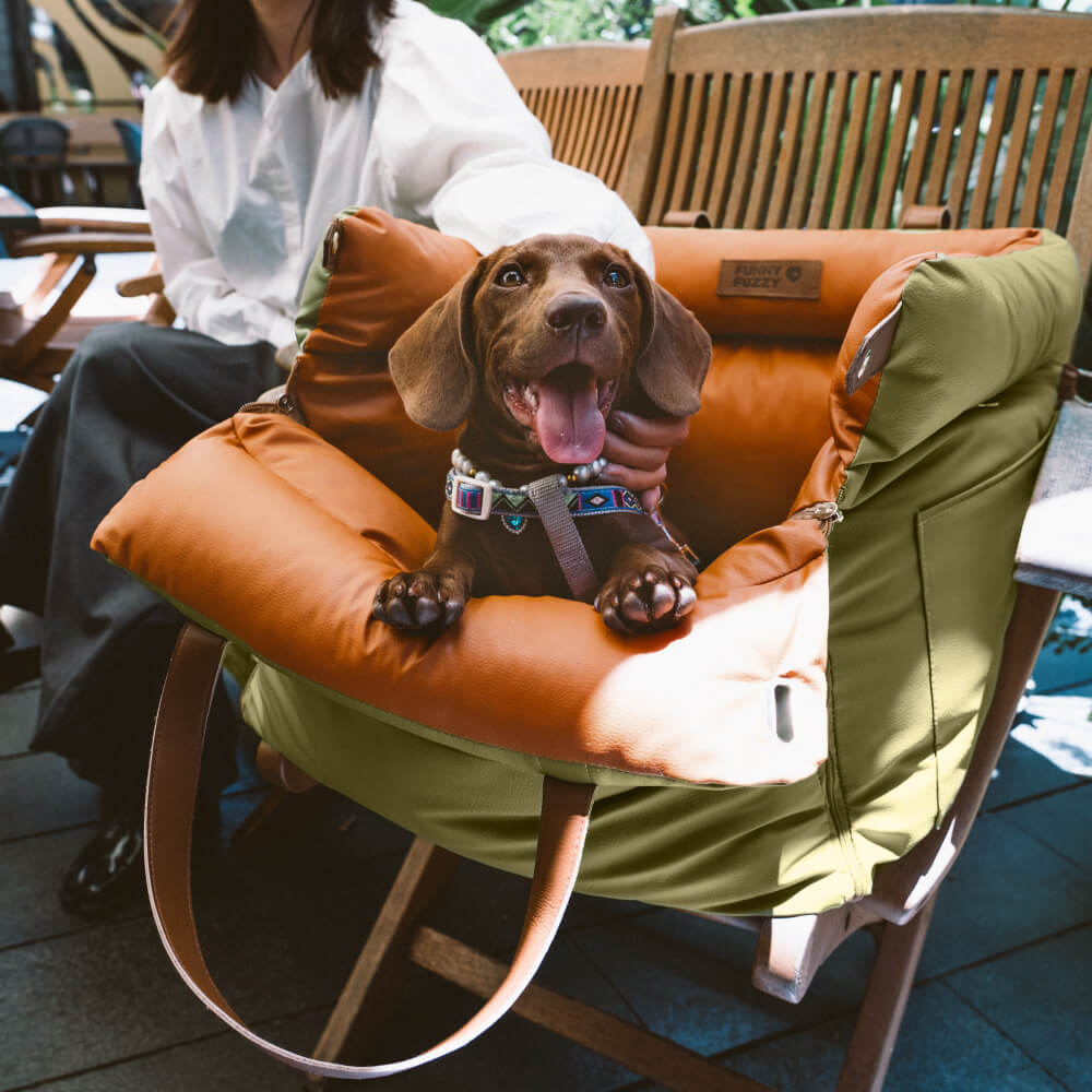 PawLuxury bilstol for hunder – Komfort og stil på hver tur