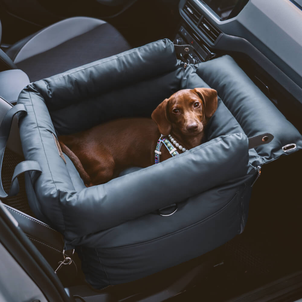 PawLuxury bilstol for hunder – Komfort og stil på hver tur
