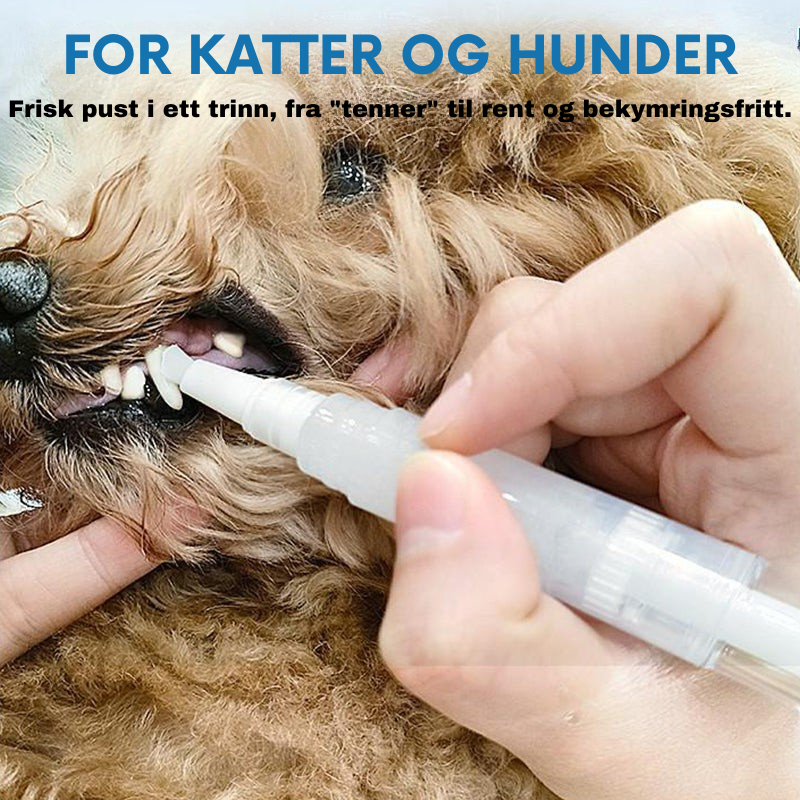PetSmile – Smidig tannbørstepenn for kjæledyr