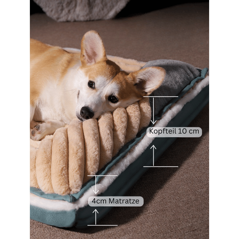 DreamCloud Komfortabel hundematte med minneskum – opptil 70 kg