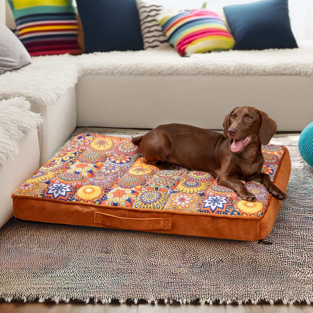 CasablancaDream hundeseng – Fargerik komfort i marokkansk stil