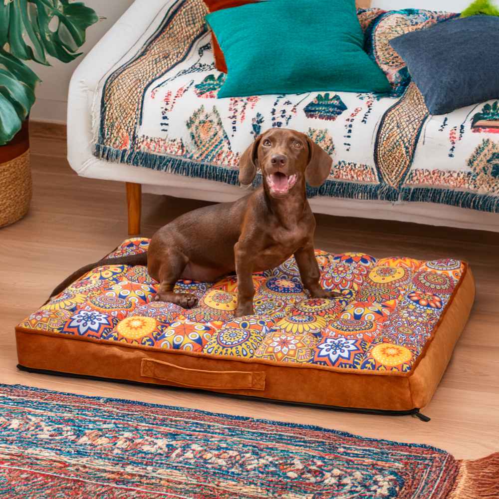CasablancaDream hundeseng – Fargerik komfort i marokkansk stil