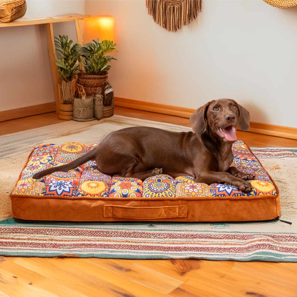 CasablancaDream hundeseng – Fargerik komfort i marokkansk stil