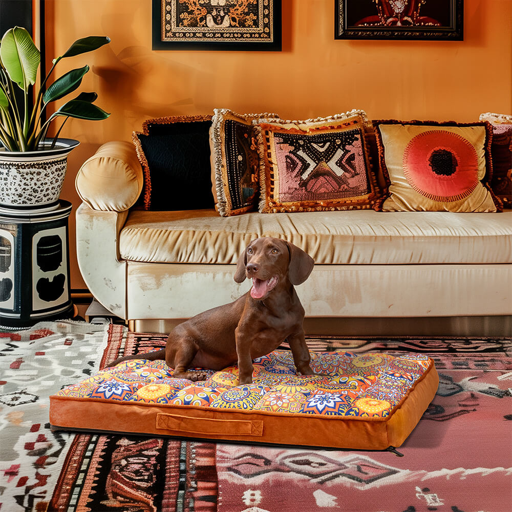 CasablancaDream hundeseng – Fargerik komfort i marokkansk stil
