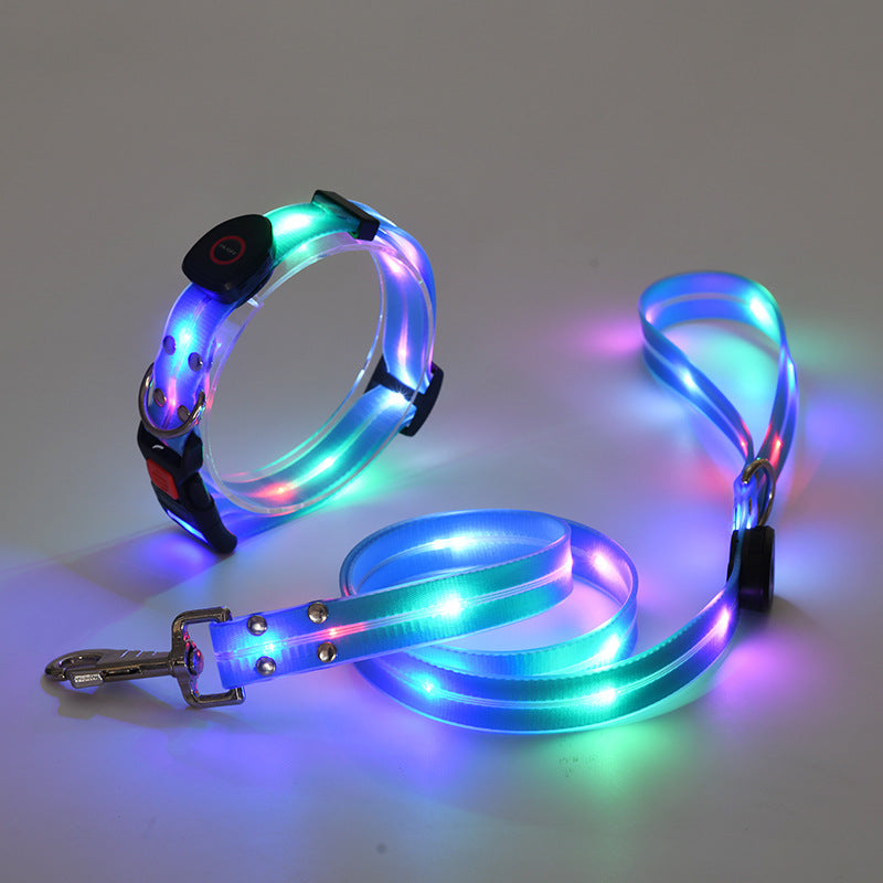 NightBright LED-hundehalsbånd med matchende bånd – USB-oppladbart