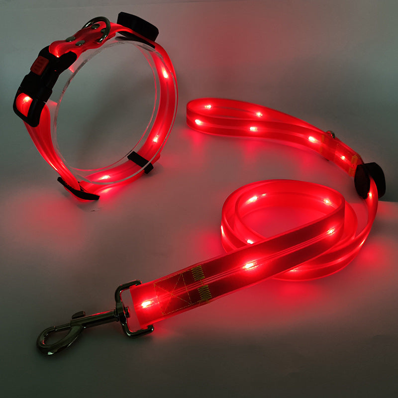 NightBright LED-hundehalsbånd med matchende bånd – USB-oppladbart
