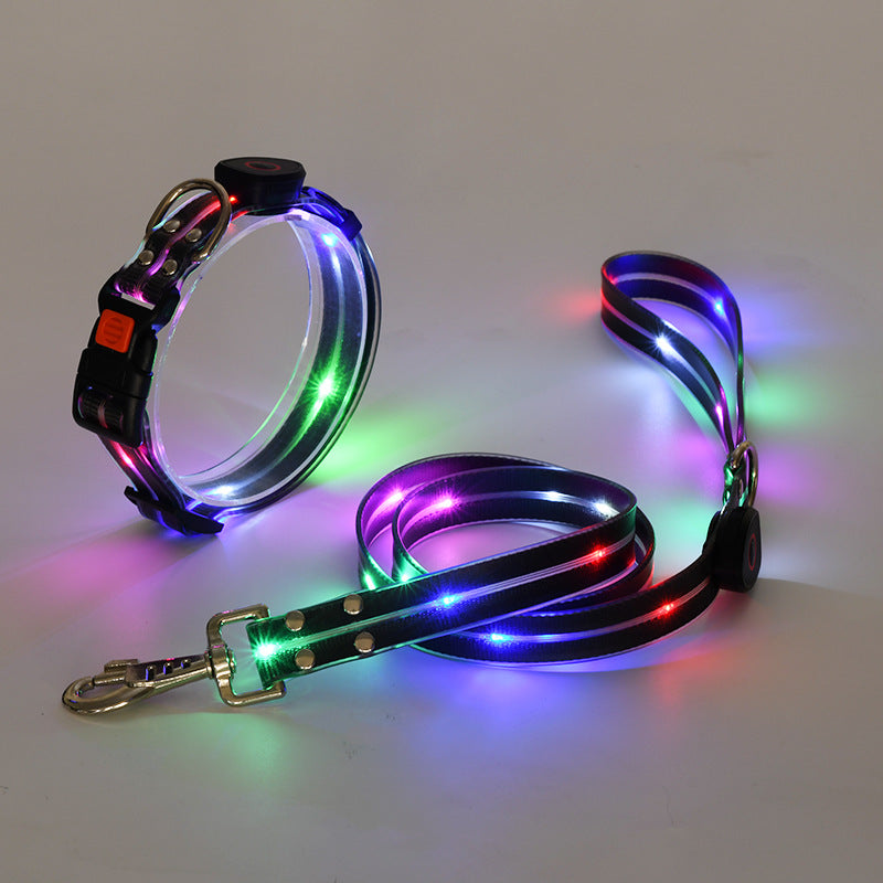 NightBright LED-hundehalsbånd med matchende bånd – USB-oppladbart