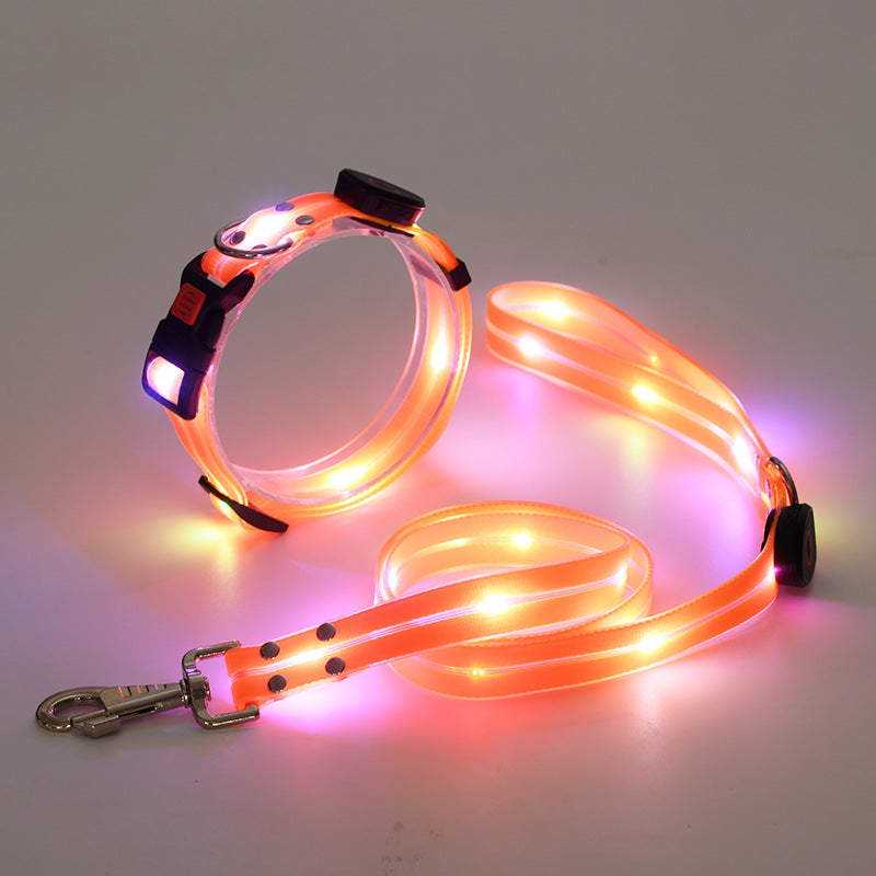 NightBright LED-hundehalsbånd med matchende bånd – USB-oppladbart