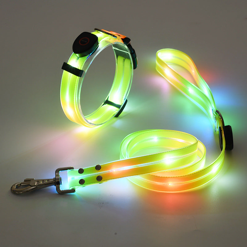 NightBright LED-hundehalsbånd med matchende bånd – USB-oppladbart