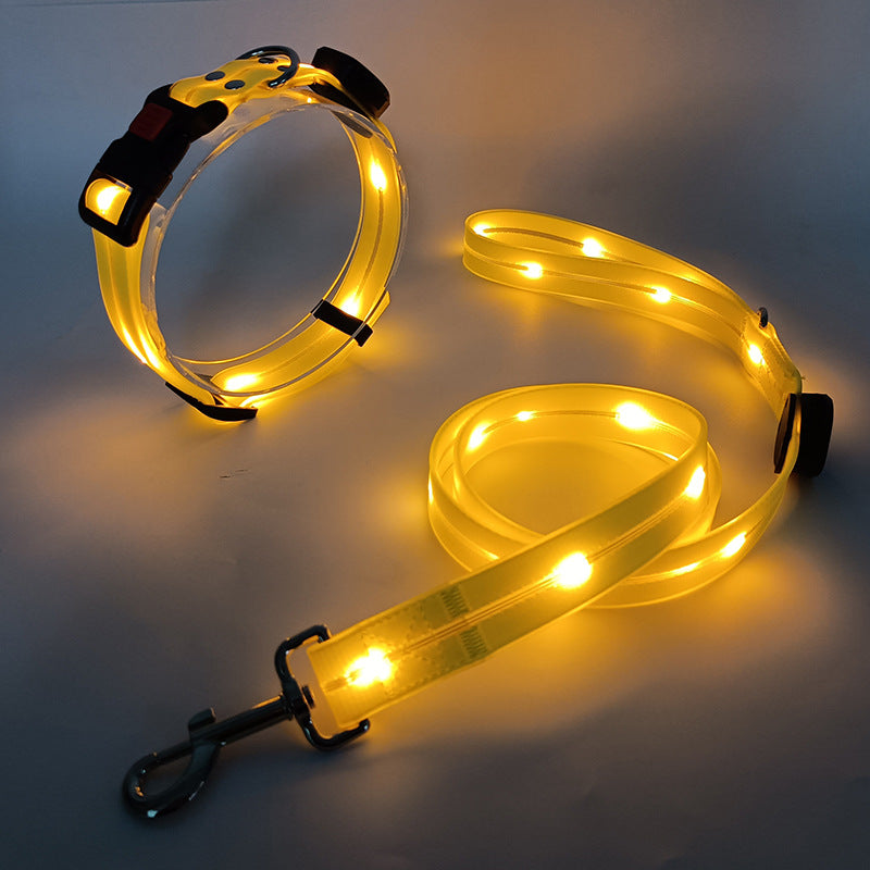 NightBright LED-hundehalsbånd med matchende bånd – USB-oppladbart