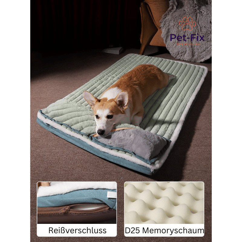 DreamCloud Komfortabel hundematte med minneskum – opptil 70 kg
