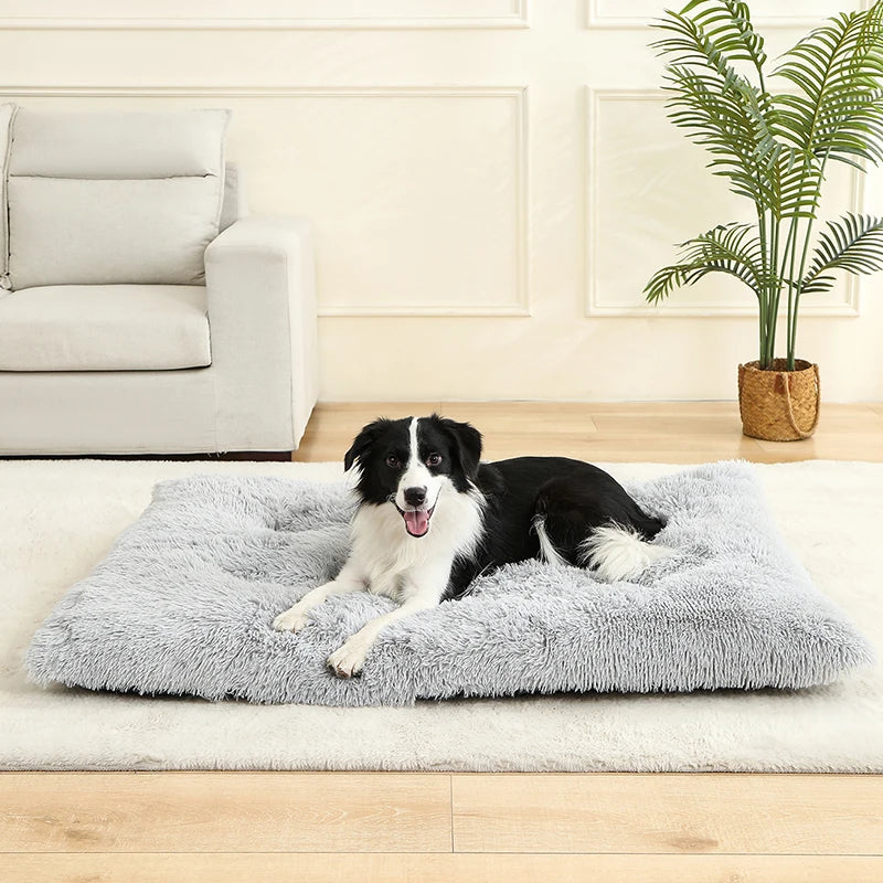 SnuggleTail – Ekstra Lang Hundeseng i Plysj for Maksimal Komfort og Ro