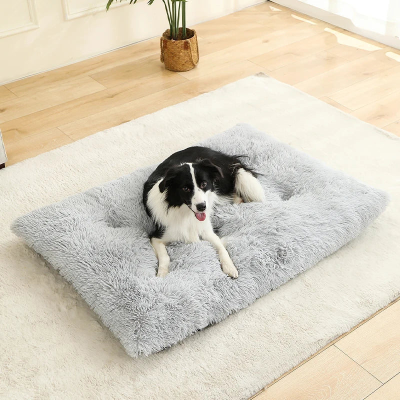 SnuggleTail – Ekstra Lang Hundeseng i Plysj for Maksimal Komfort og Ro