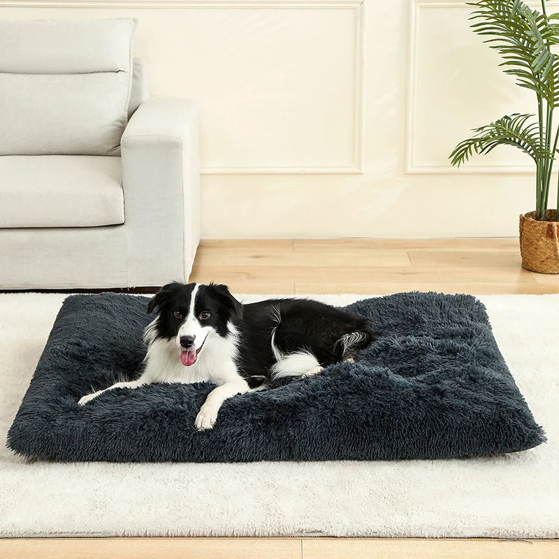 SnuggleTail – Ekstra Lang Hundeseng i Plysj for Maksimal Komfort og Ro