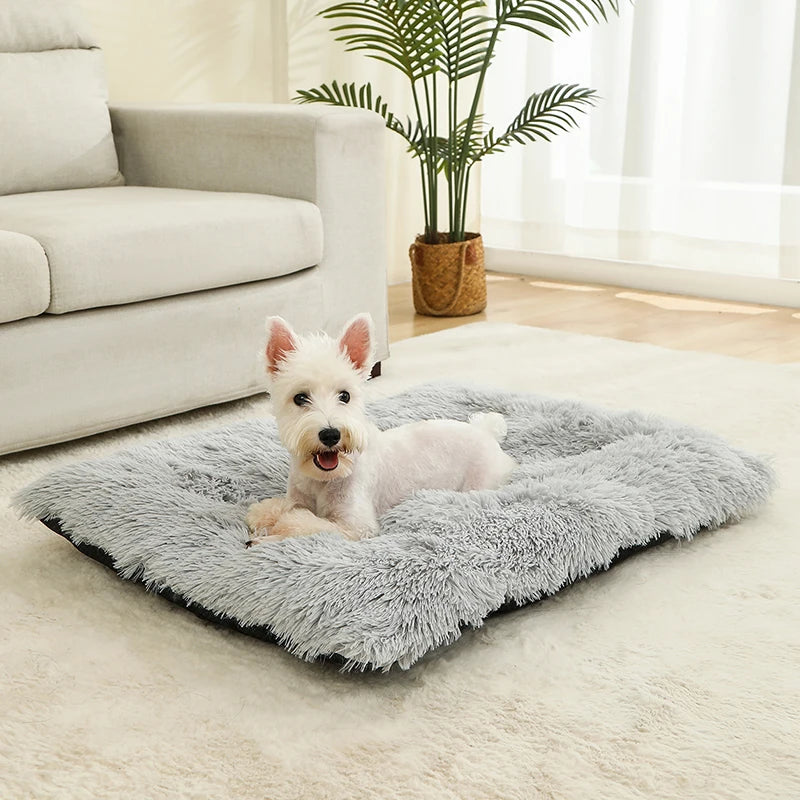 SnuggleTail – Ekstra Lang Hundeseng i Plysj for Maksimal Komfort og Ro