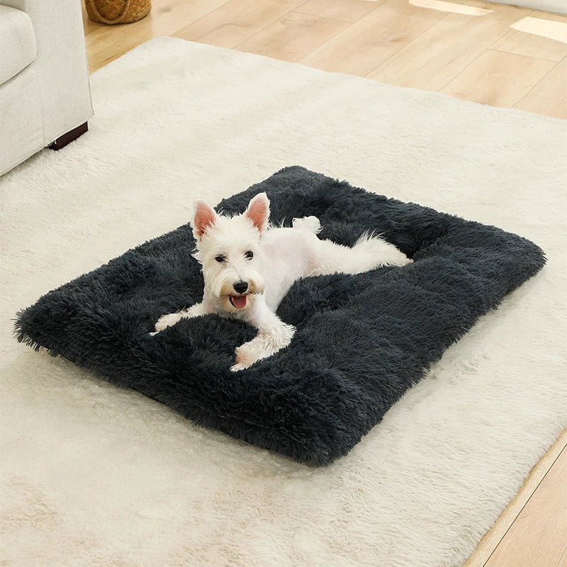 SnuggleTail – Ekstra Lang Hundeseng i Plysj for Maksimal Komfort og Ro