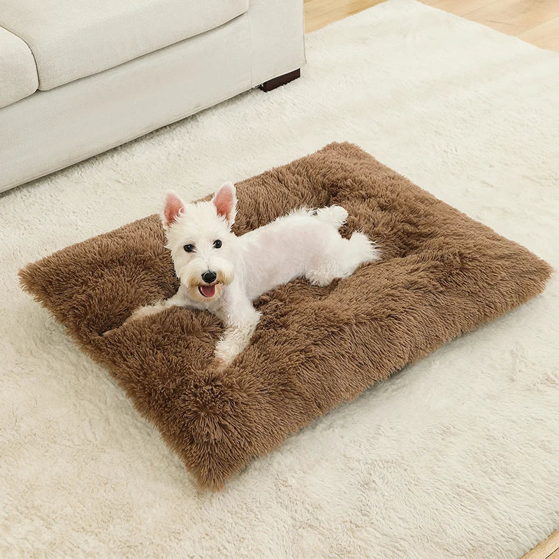 SnuggleTail – Ekstra Lang Hundeseng i Plysj for Maksimal Komfort og Ro